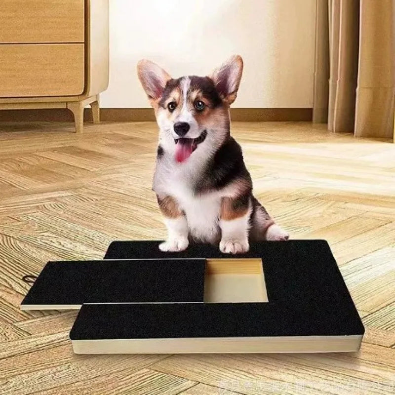 Dog Nail Scratch Board — A Set — TeemDrop supplier reference 2