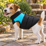 Winter Warm Dog Jacket Windproof Pet Coat — Classic model-blue / M