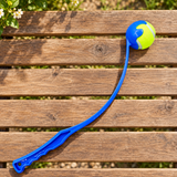 Pet Ball Throwing Rod Training Toy — Blue pole including 1 ball