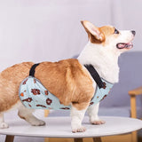 Pet belly band — TeemDrop supplier reference 2