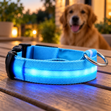 Adjustable USB Rechargeable LED Pet Safety Collar — Blue / M