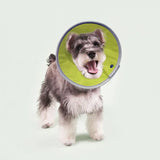 Soft Recovery Cone — Yellow-Green, S — TeemDrop supplier reference 2
