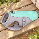 Pet Summer Cooling Vest — Blue / M
